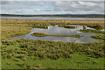 J1068 : Portmore Lough Reserve by N Chadwick