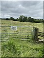 Gate and stile