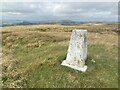 SK0460 : Trig point on Merryton Low, 1603' / 489m by John H Darch