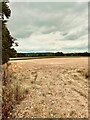 Harvested arable field