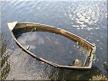 SU4996 : Semi-sunken rowing boat, River Thames, Abingdon by Brian Robert Marshall