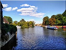 SU4996 : North-east along the River Thames, Abingdon by Brian Robert Marshall