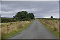 Road, Mynydd Illttud