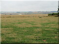 Grass field at Cairncross