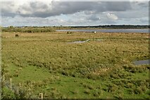 J1068 : Portmore Lough Reserve by N Chadwick