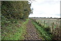 Footpath, Portmore Lough Reserve