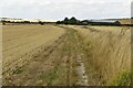 Bridleway towards the A505