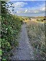 Bridleway to the A507