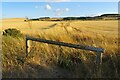 Dry drainage ditch looking south