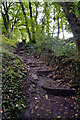 SE1011 : Steps from Folly Dolly Falls to the Meltham Greenway by habiloid
