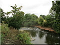 The River Teme near Little Hereford