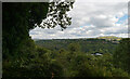 A view from Beaumont Park, Huddersfield