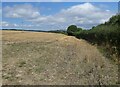 Field of stubble, Hill Farm