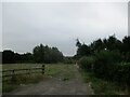 Farm track near Woofferton on a gloomy morning