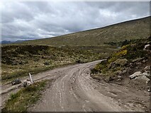 NN3766 : The new track junction near Corrour by David Medcalf