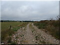 Track (footpath) off Coxtie Green Road