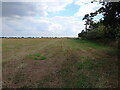 A field just east of Green Acres farm, Kemberton