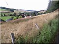 A dry bank above Stow