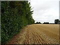 Footpath to Fithlers Hall Farm