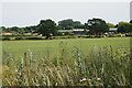 Field near Lower Farm