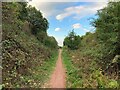 The Southwell Trail Between Farnsfield and Bilsthorpe