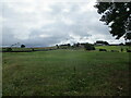 Grass field and Woodstock Bower Farm