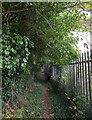 Path running parallel to the railway, Knaresborough