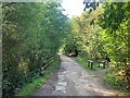 Path in Vicar Water Country Park