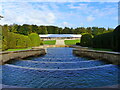 NU1913 : Looking down the main cascade at the Alnwick Garden, Alnwick by Ruth Sharville