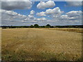 Stubble field near Glazenwood