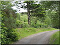 Road near Roshven