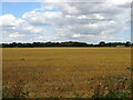 Stubble field off Western Road