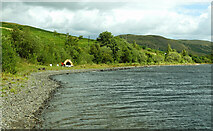 NT2523 : St Mary's Loch shoreline by Mary and Angus Hogg