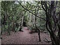 Woodland next to the Hollingbury Park Golf Course