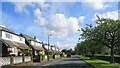 Houses on Lower Lane