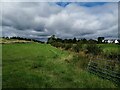 Fields between Fenwick and the M77