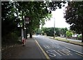 Bus stop and shelter on Hall Lane, Upminster