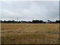 Stubble field off Ockendon Road