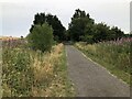 Deerness Valley Railway Path near Ushaw Moor