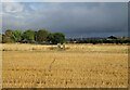 Footpath over stubble field