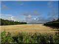 Stubble field near Conway