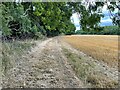 Footpath to Shawgreen Lane