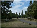 Brookwood Cemetery (North) late August 2022