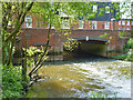 River Wey at Eashing Mill