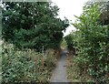 Cycle path towards Willow Park Nature Reserve