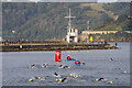 SX4853 : Plymouth Triathlon 2022 by Stephen McKay
