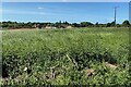 Redevelopment of Crewe Gardens farm under way