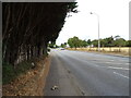 Poynters Lane (B1017) approaching roundabout