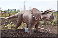 Triceratops in Pangaea at the Yorkshire Wildlife Park