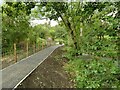 New path in Primrose Nature Reserve